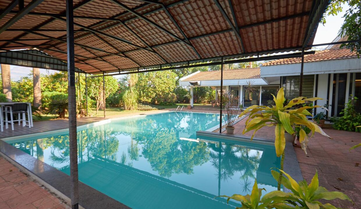 PHOTO-2025-03-13-12-47-03 2