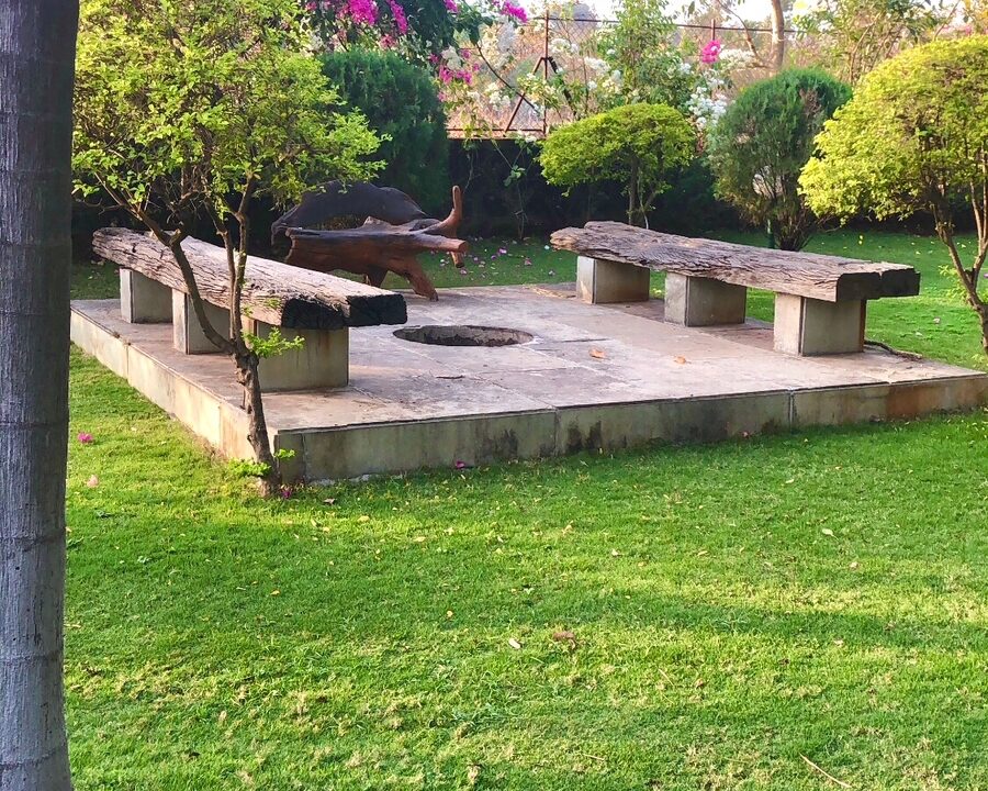 PHOTO-2025-03-13-12-47-07