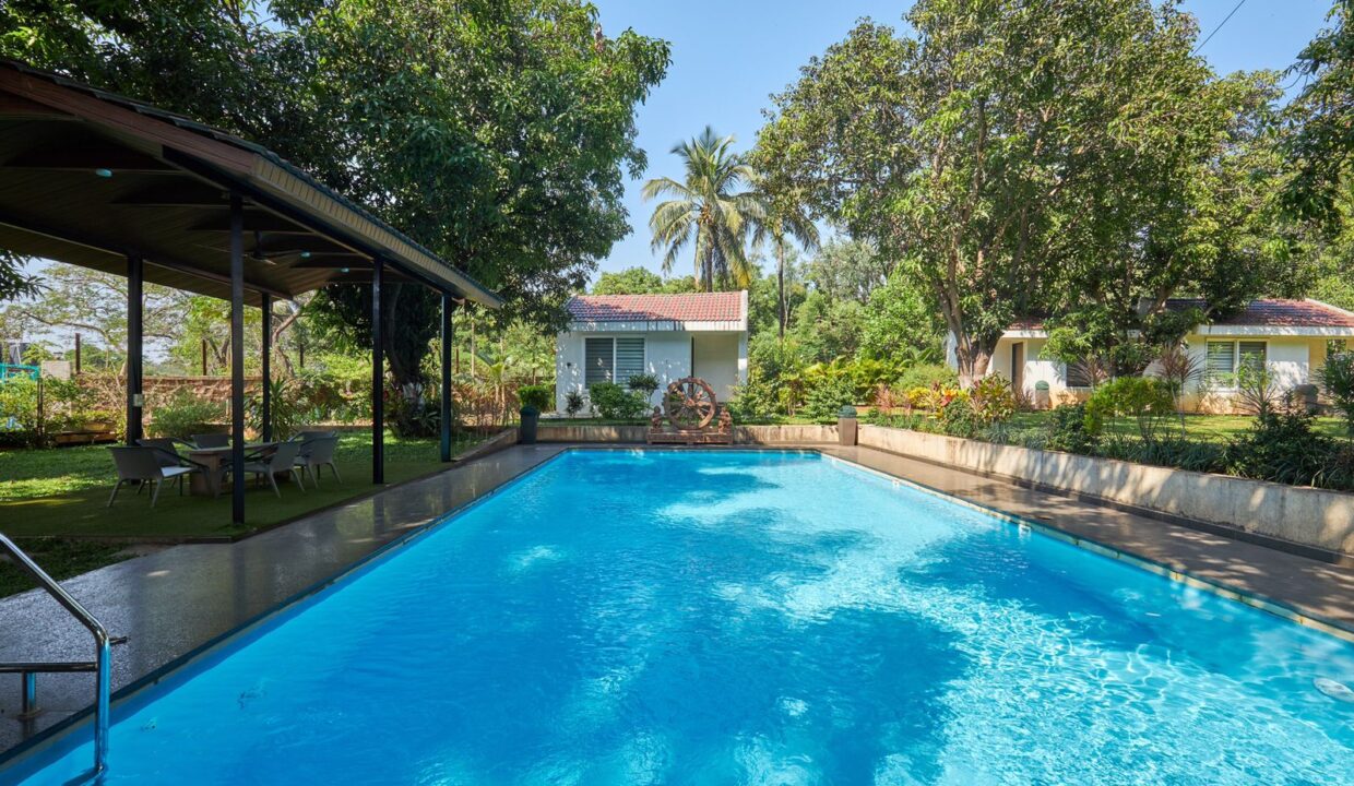 PHOTO-2025-03-13-12-52-53 3