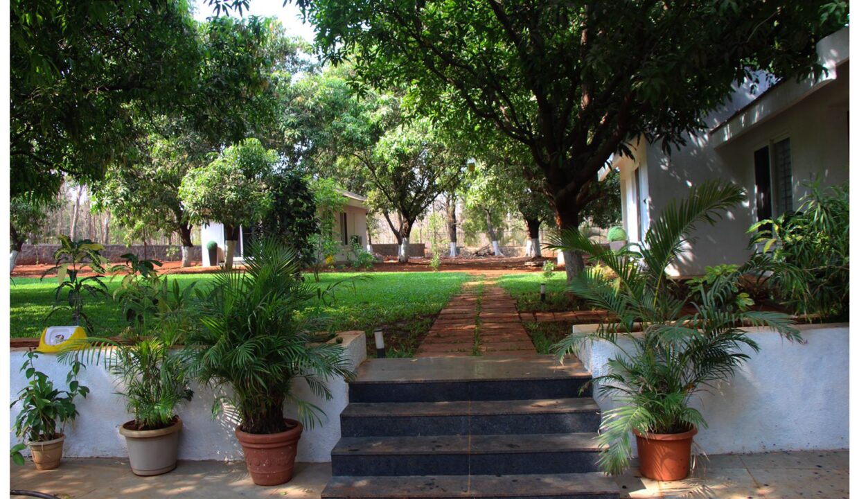 PHOTO-2025-03-13-12-53-00 3