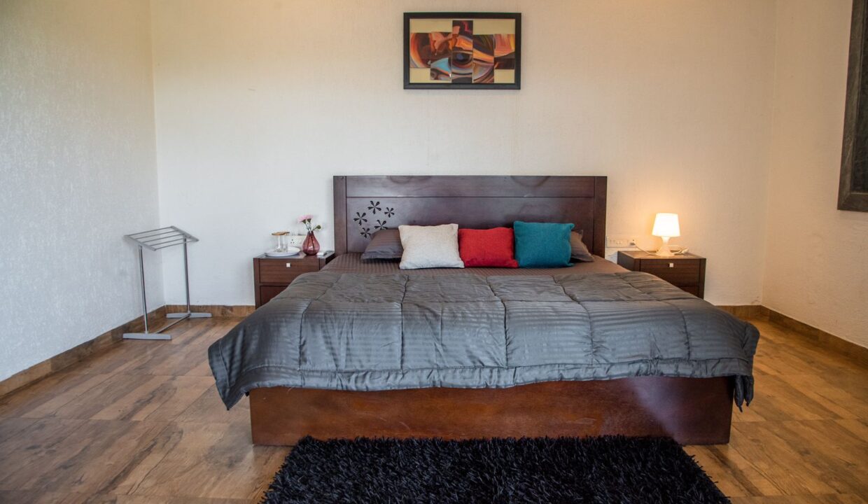 PHOTO-2025-03-13-12-58-49 3