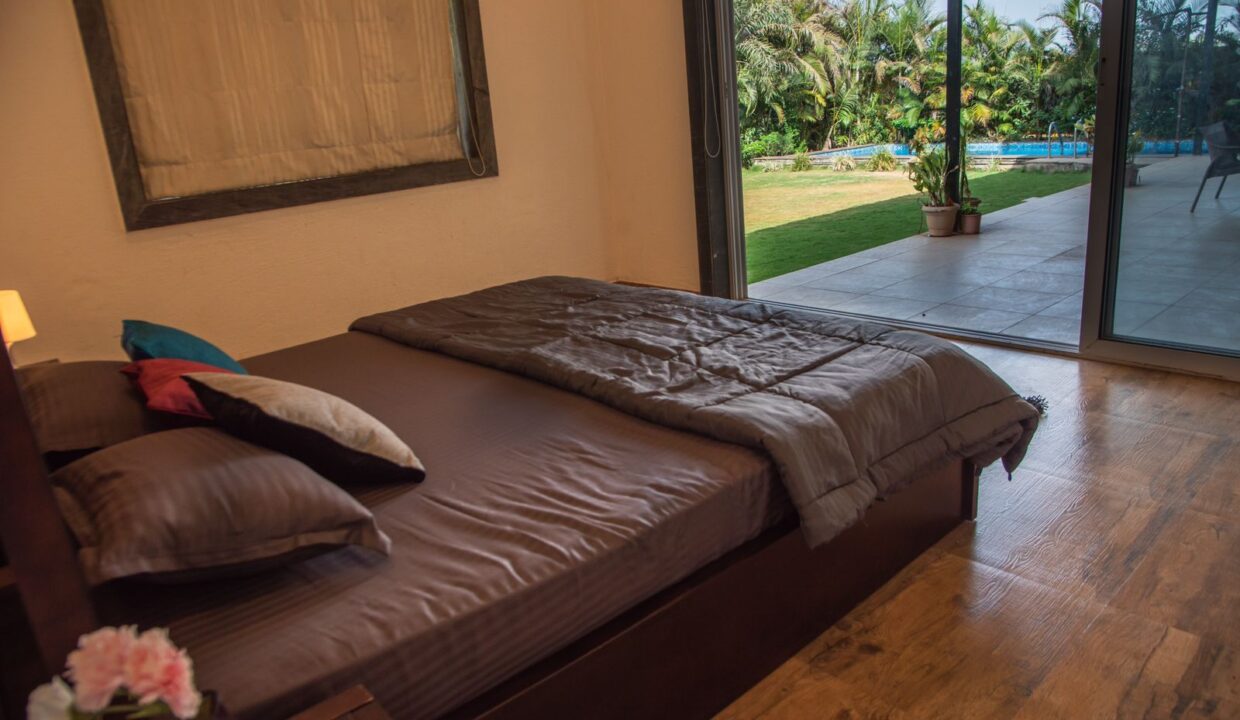 PHOTO-2025-03-13-12-58-50 2